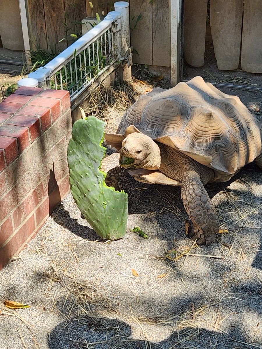 飯田市立動物園 【公式】 on X: 