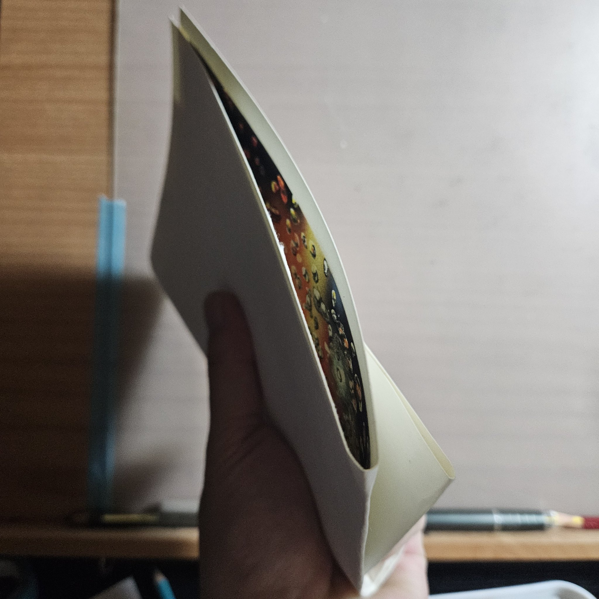 色鉛筆画⑩ 色鉛筆でキツネを描きました。I drew a fox with colored