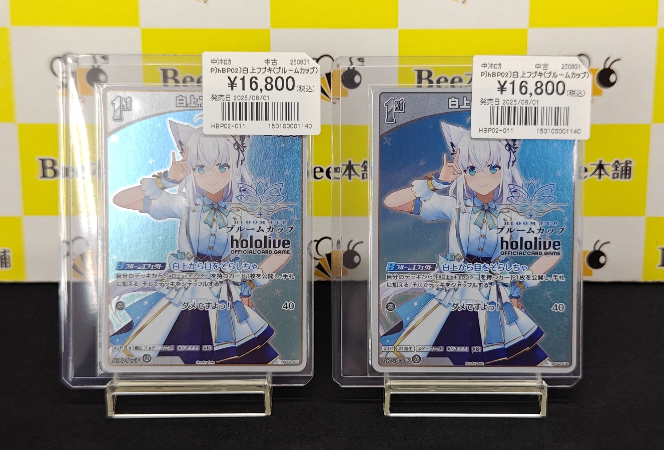 ホロカ 白上フブキ ブルームカップ プロモ
