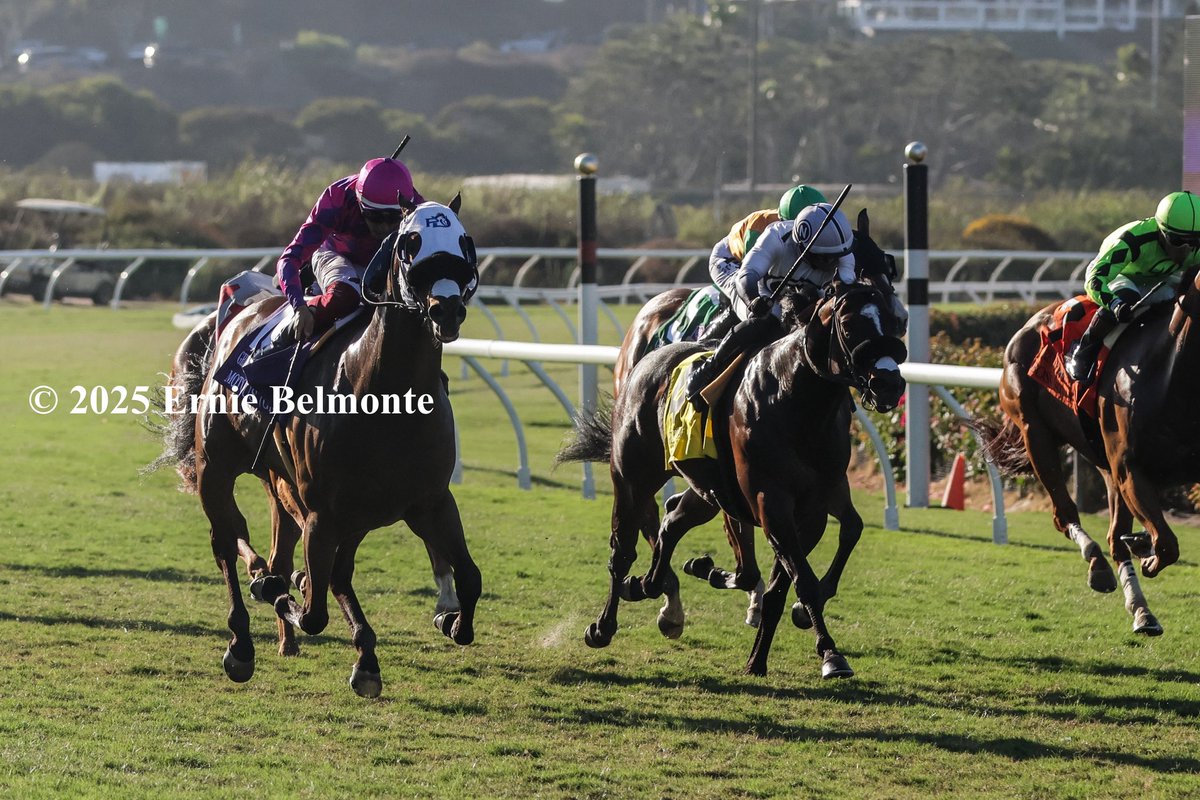 Motorious wins the G3 Green Flash Handicap.