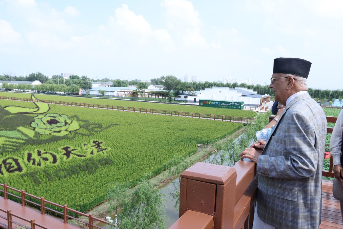kpsharmaoli's tweet image. चीनको थियानजिनस्थित जिनान जिल्लाको सिआओझान धान उत्पादन विशेष क्षेत्र आज अवलोकन गरें। विकासले लय समातेपछि हरेक क्षेत्रमा प्रभावकारी परिणाम देखिने रहेछ। 
यो क्षणले मलाई हामीले सुरु गरेको प्रधानमन्त्री कृषि आधुनिकीकरण कार्यक्रम सम्झाइरहेको छ।