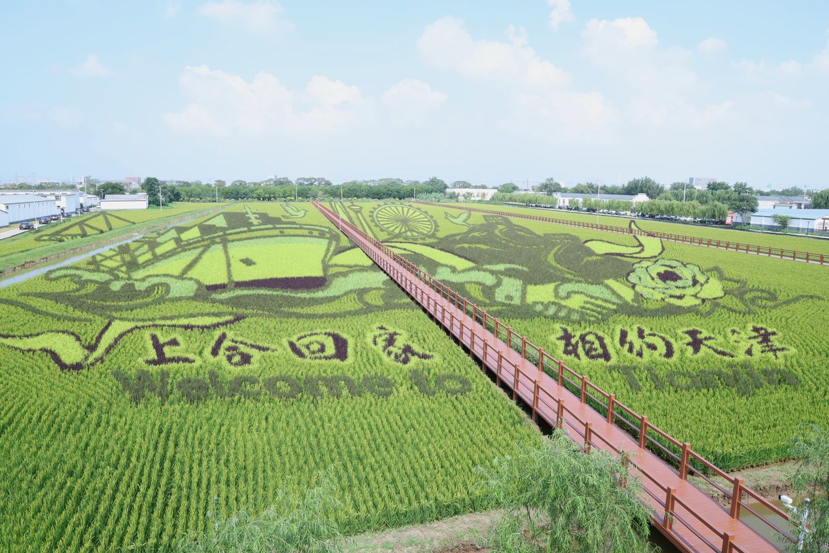 kpsharmaoli's tweet image. चीनको थियानजिनस्थित जिनान जिल्लाको सिआओझान धान उत्पादन विशेष क्षेत्र आज अवलोकन गरें। विकासले लय समातेपछि हरेक क्षेत्रमा प्रभावकारी परिणाम देखिने रहेछ। 
यो क्षणले मलाई हामीले सुरु गरेको प्रधानमन्त्री कृषि आधुनिकीकरण कार्यक्रम सम्झाइरहेको छ।