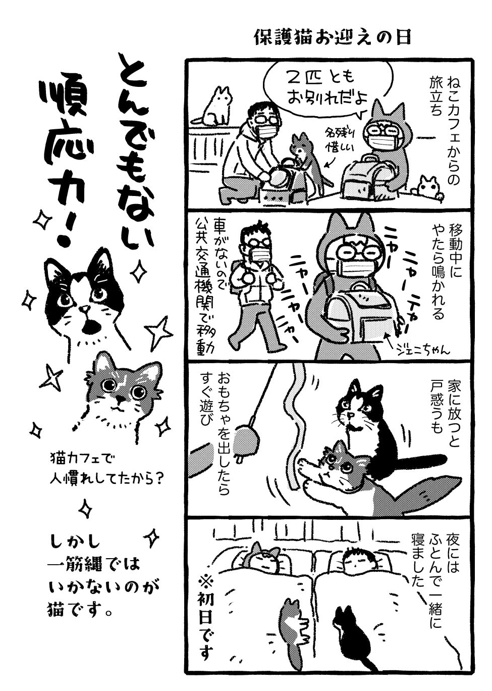 ペコ プロフ必読さん専用 91fSyKAdFfL.jpg