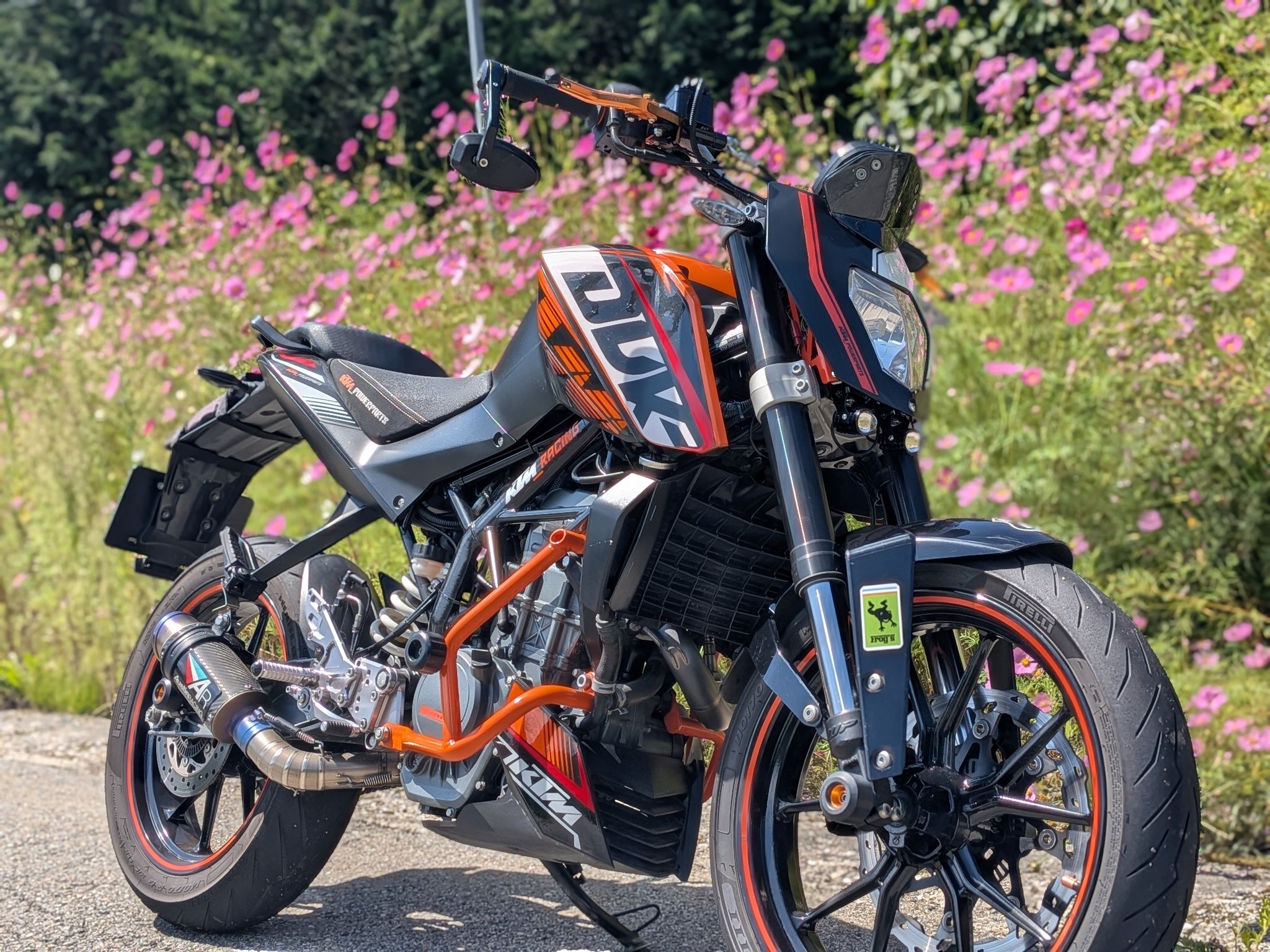 のーちゃん 2008 Kawasaki ZX1400C8F NINJA ZX-14 - 1352cc Options and