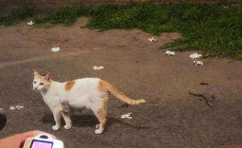 ๋dae (@everydaeyy) on Twitter photo 