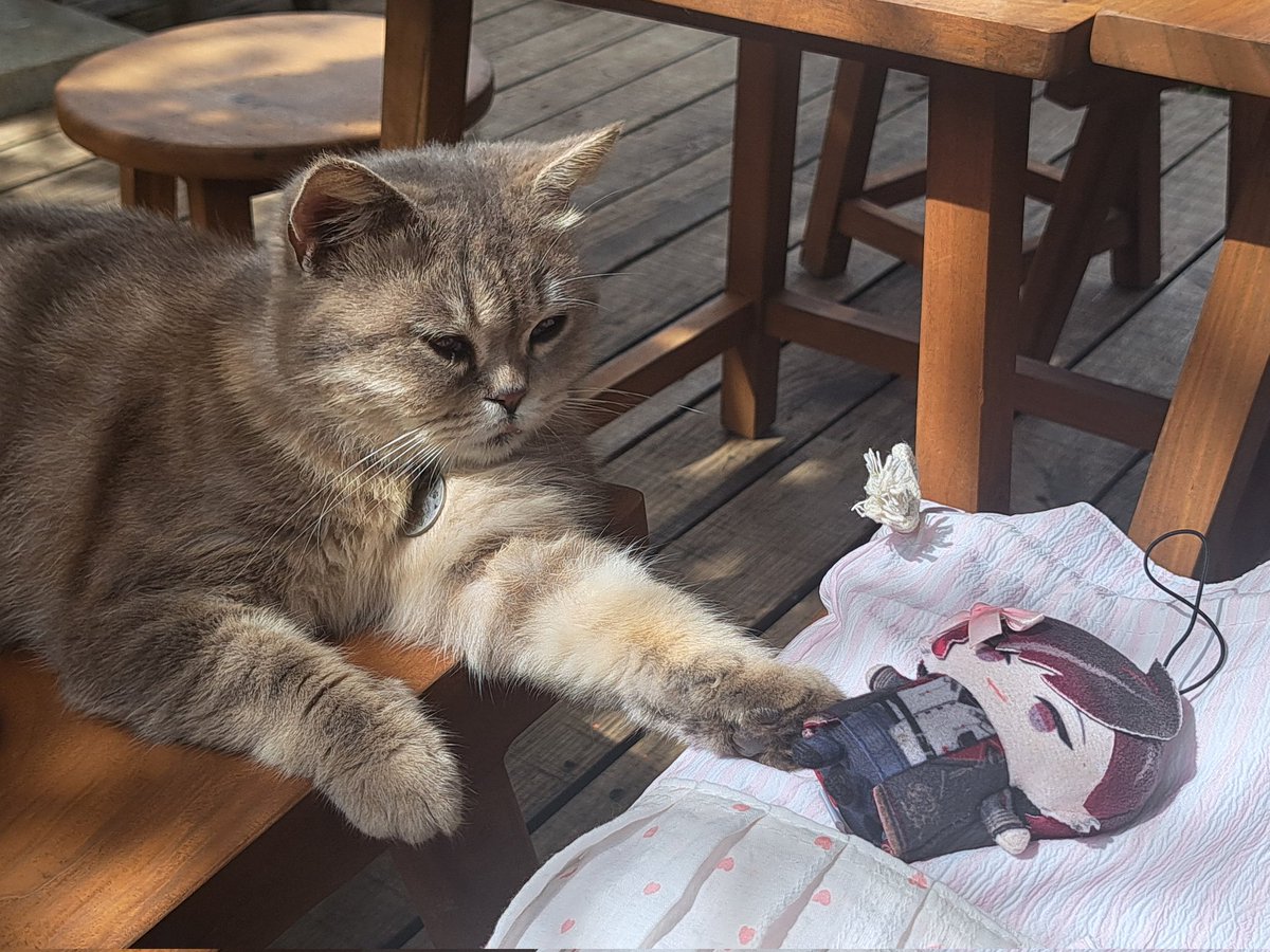 Guys I think it likes him