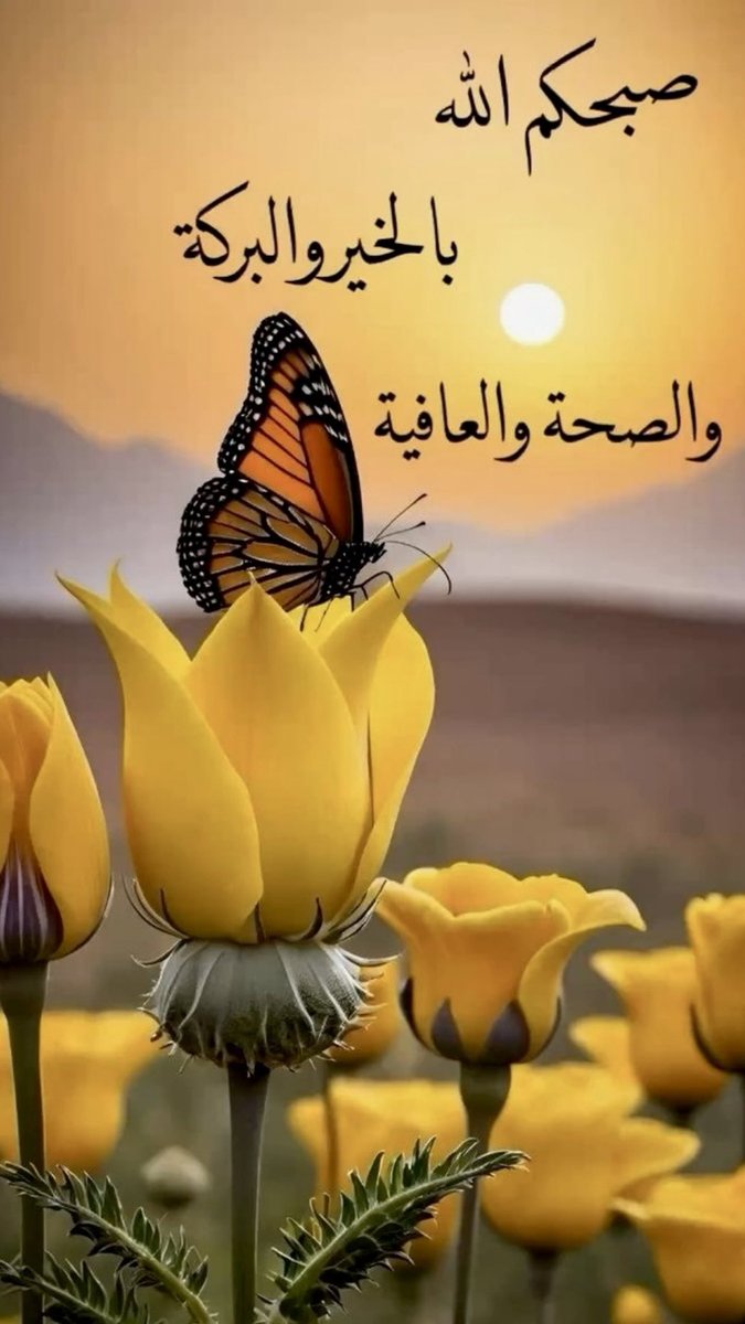 اسعد الله صباحكم بكل خير وسعادة
ويارب يكون يومكم سعيد و مشرق  وطاقة إيجابية..
#صباح_الخير_والسعاده