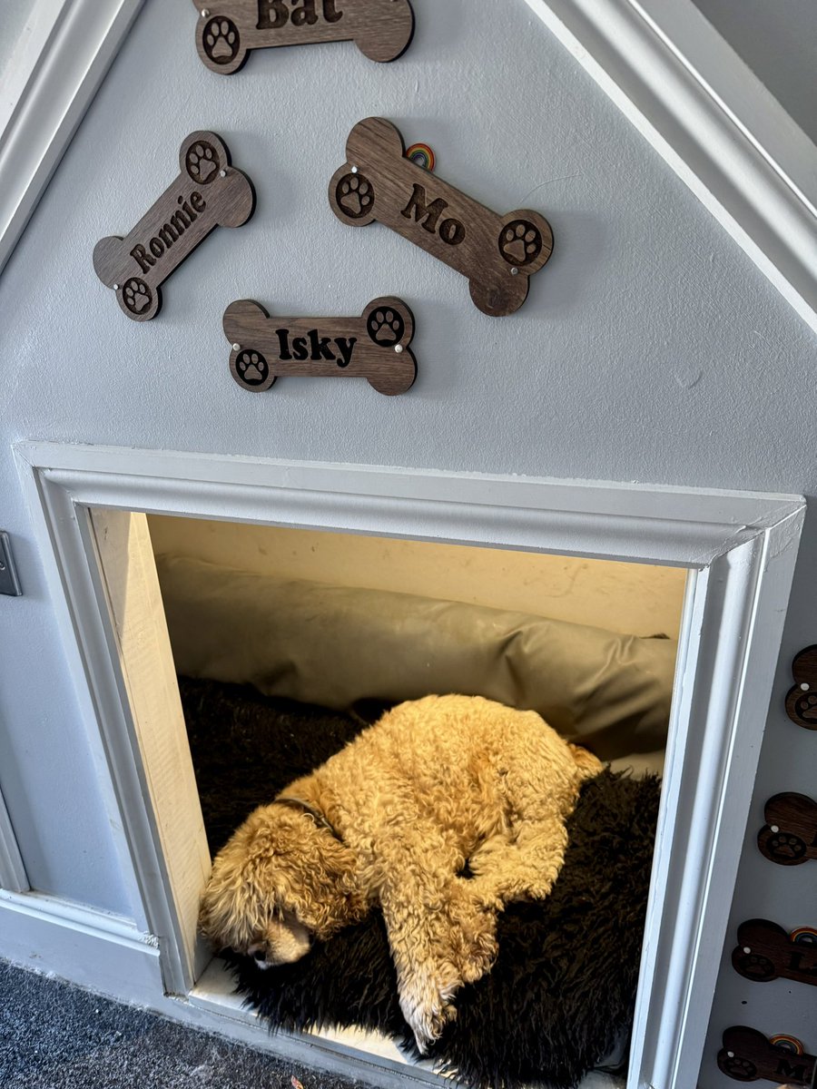 SpanielsSuper's tweet photo. Mum? Look who’s sleeping in Ronnie’s #SpecialRonnieHouse
Wakey wakey Isky 😴#SleepingBeauty #BedThief
Ronnie prefers his bed by the open front door
#BedSwap https://t.co/RTUETnS9iB