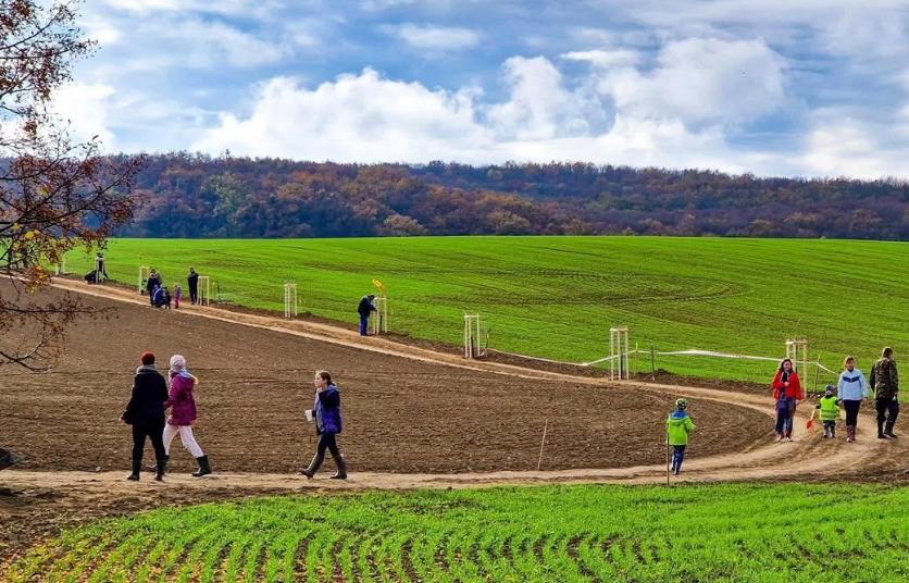 CLOVEKVTISNI's tweet photo. 1/2
🌱 „Za sto roků vznikne 1 cm půdy. Stačí, aby chvilku pršelo, a těch 100 roků máme pryč. A protože nás půda živí, nemůžeme takovou degeneraci dopustit.“

To je alarmující skutečnost, kterou nám na jaře u kulatého stolu v Mělníce připomněl Martin Smetana z projektu @ZivaPuda. Pan Smetana svůj profesní život věnuje nejen regenerativnímu zemědělství, ale i poradenství vlastníkům půdy, kteří se s ní rozhodli nakládat se udržitelněji.