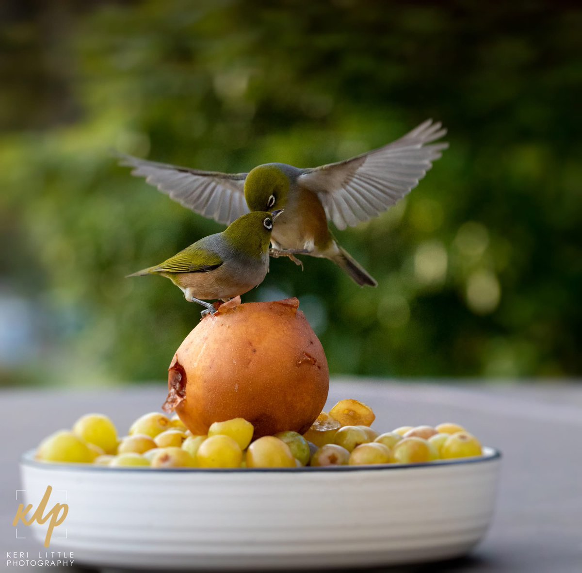 You don’t mess with these guys