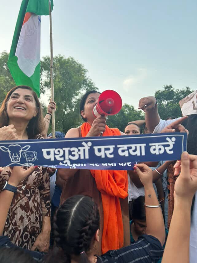 ManaviRai_7's tweet photo. #SaveIndianDogs #SaveIndianDogs #nodogsnovote #nodogsnovote #SaveIndianDogs #SaveIndianDogs #nodogsnovote https://t.co/uKSFaF205B