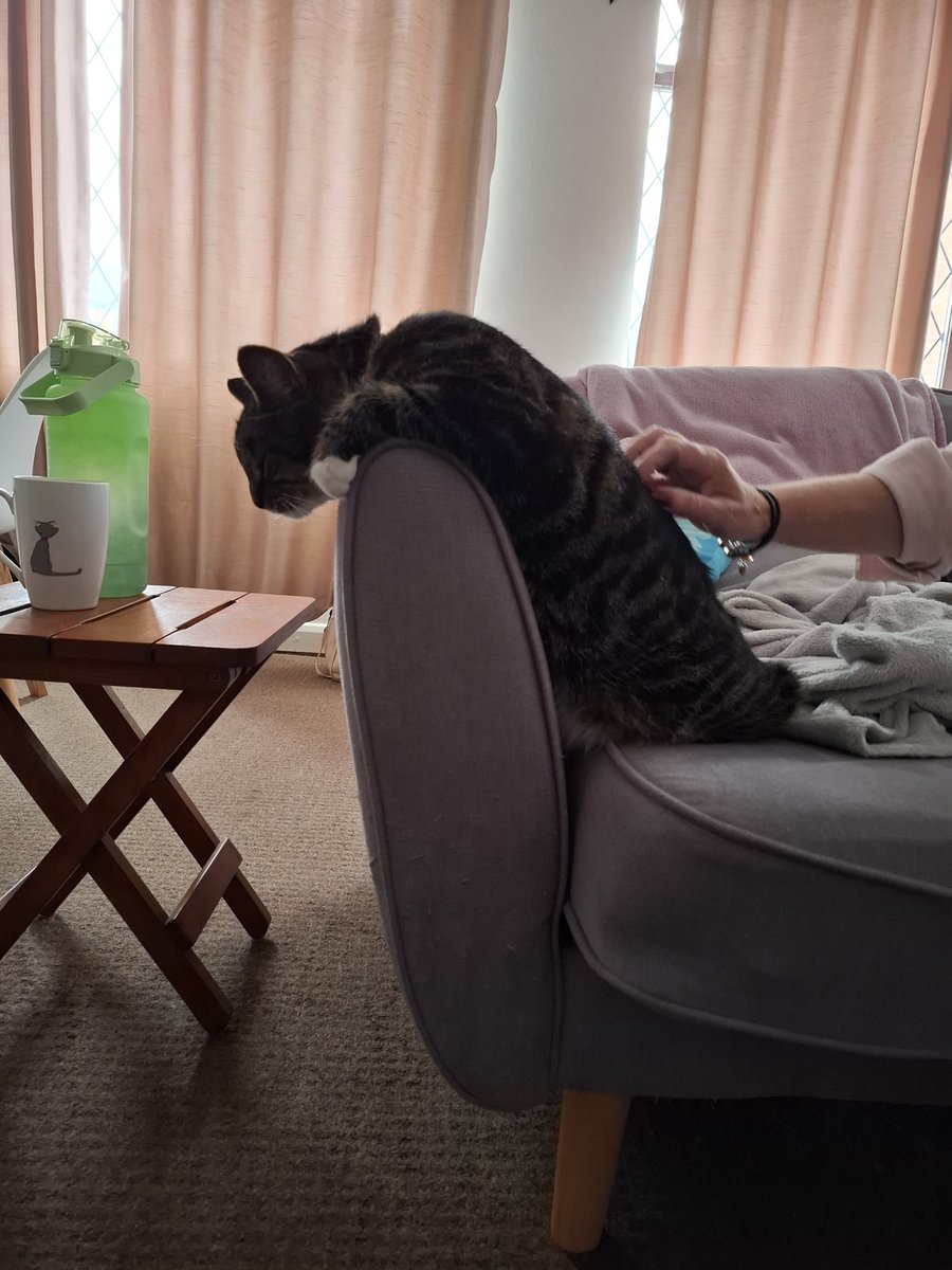 LycaBean's tweet photo. Jost... sum strenchies an yoga https://t.co/3Yy8MWZnj9