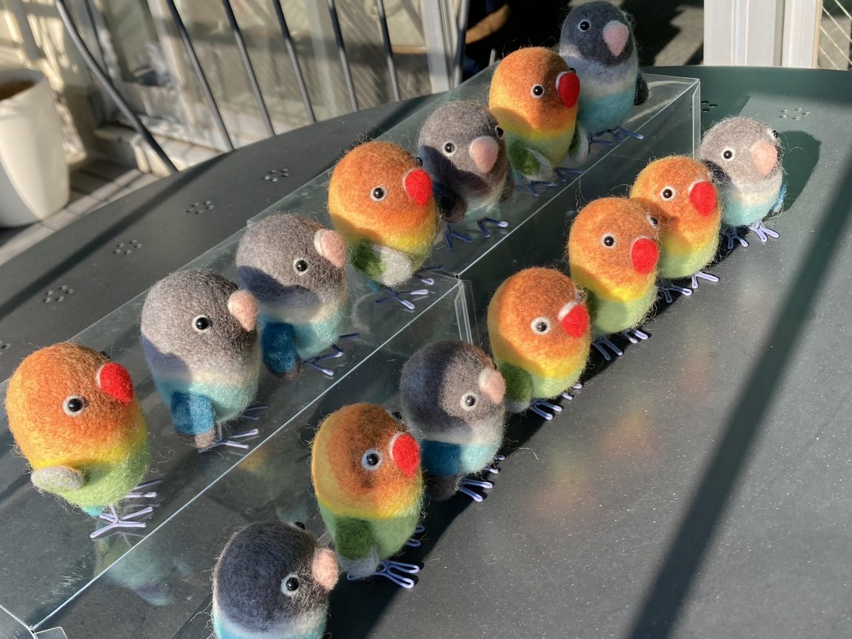 専用ページ　羊毛フェルト　傘でお出かけボタンインコ　鳥 前回作ったブルーボタンと一緒に並べたら、大迫力の可愛さになりました