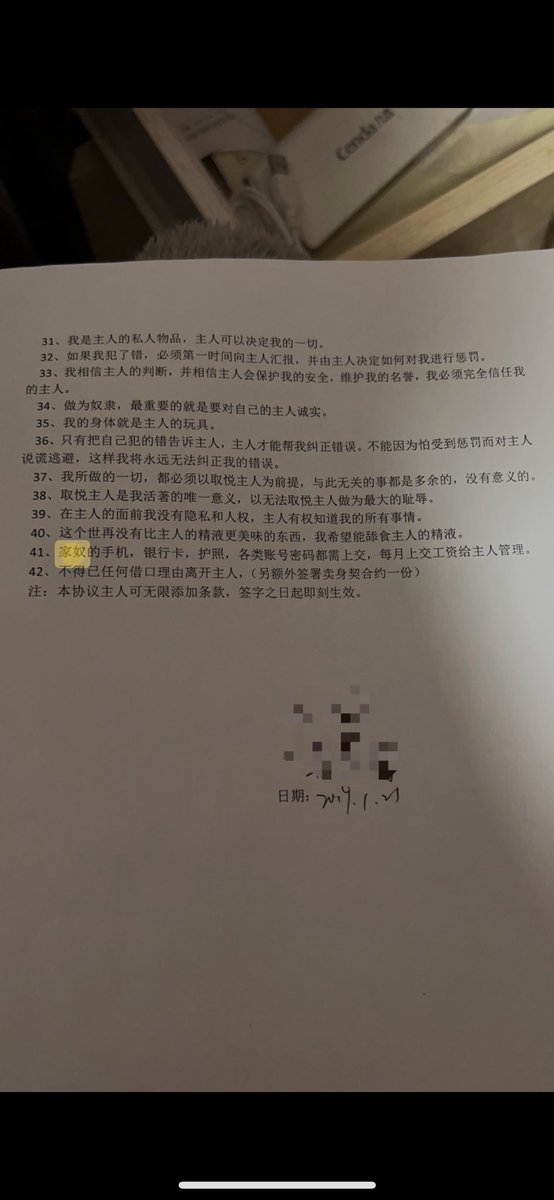 翻到了当初签的家奴协议，还画了血押😂