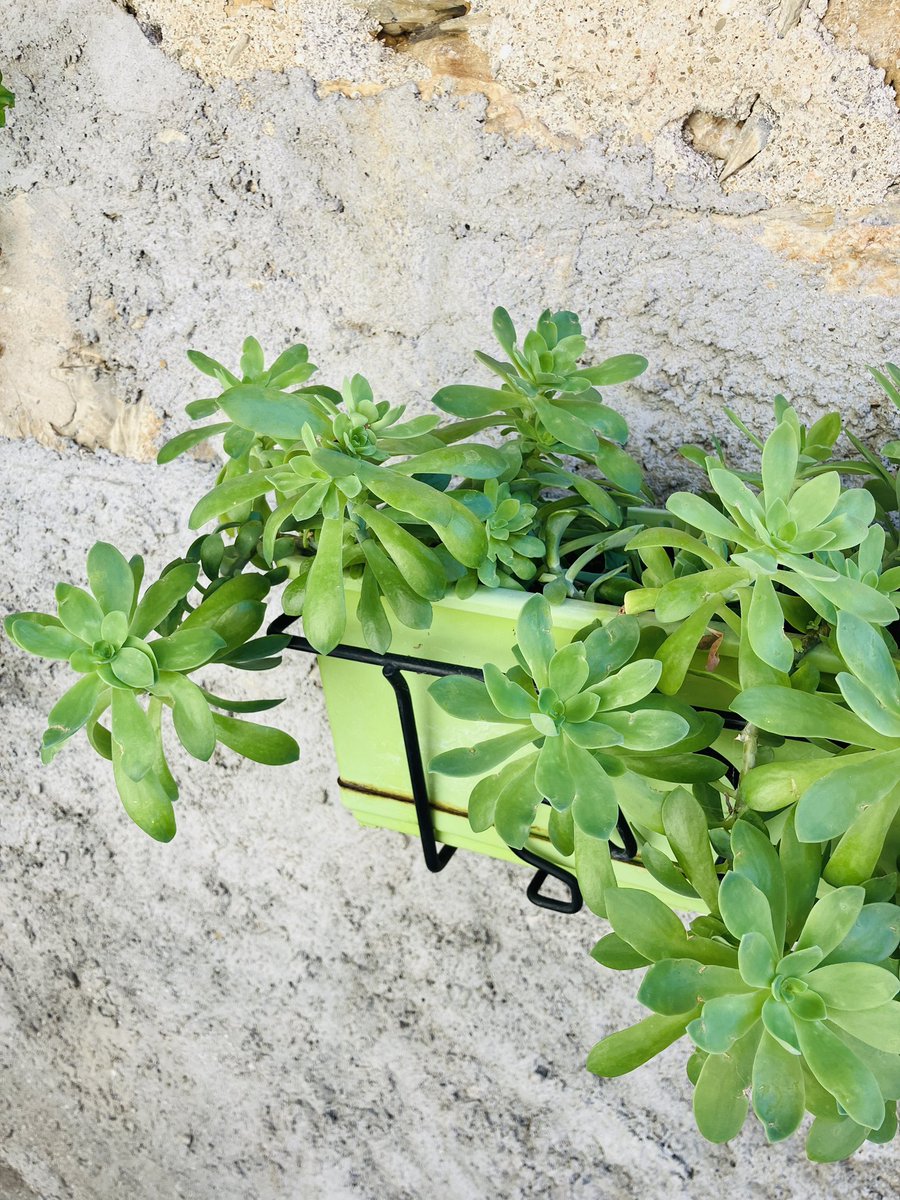 mochizuki。 (@mchz_k) on Twitter photo 