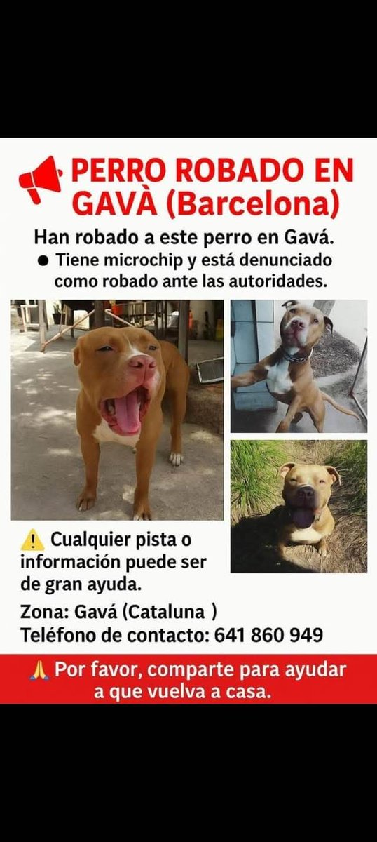 🆘🆘¡¡ATENCIÓN!!🆘🆘
Perro secuestrado en #Gava
#Barcelona.
Tiene chip, esta denunciado.
Si lo ves, contacta:
📞 641 860 949
Máxima difusión 🙏
📣📣📣
#XarxaBarcelonaPerduts
#FemXarxa