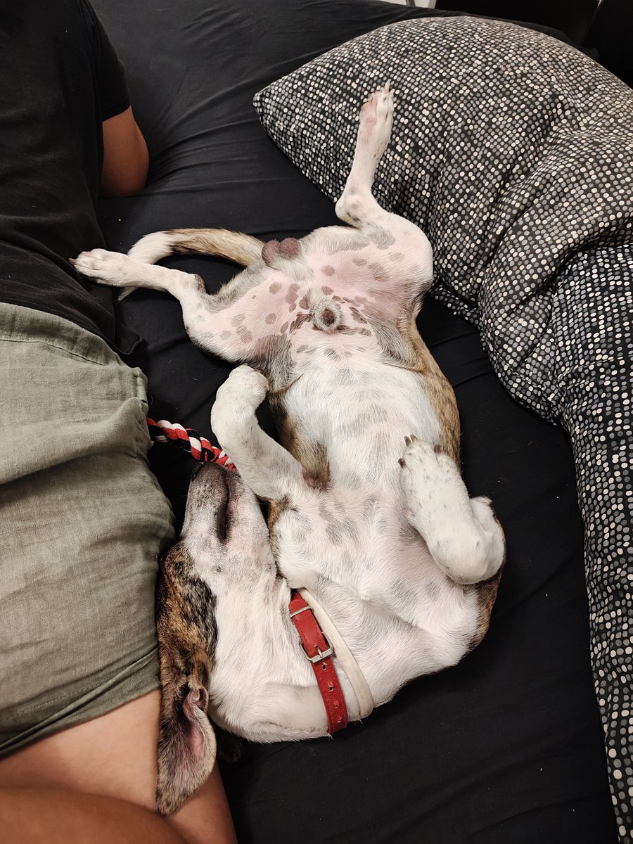 Ma è normale dormire così?
E russa pure 🤣