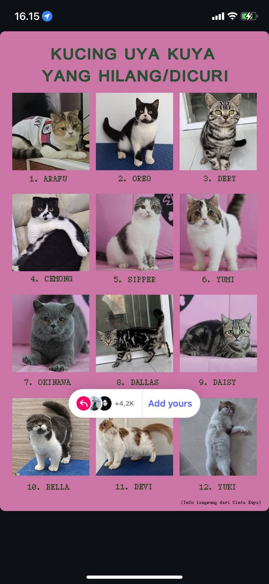 tolong dong yang jarah rumah anggota dpr kemarin, balikin kucingnya ke pemiliknya woy 😭😭 itu kucing bisa takut dan stress tiba2 di lingkungan baru yg dia gak tau😭😭 please please please
yang tau bisa hubungin kak <a href="/indiradiandraa/">Indira Diandra</a>