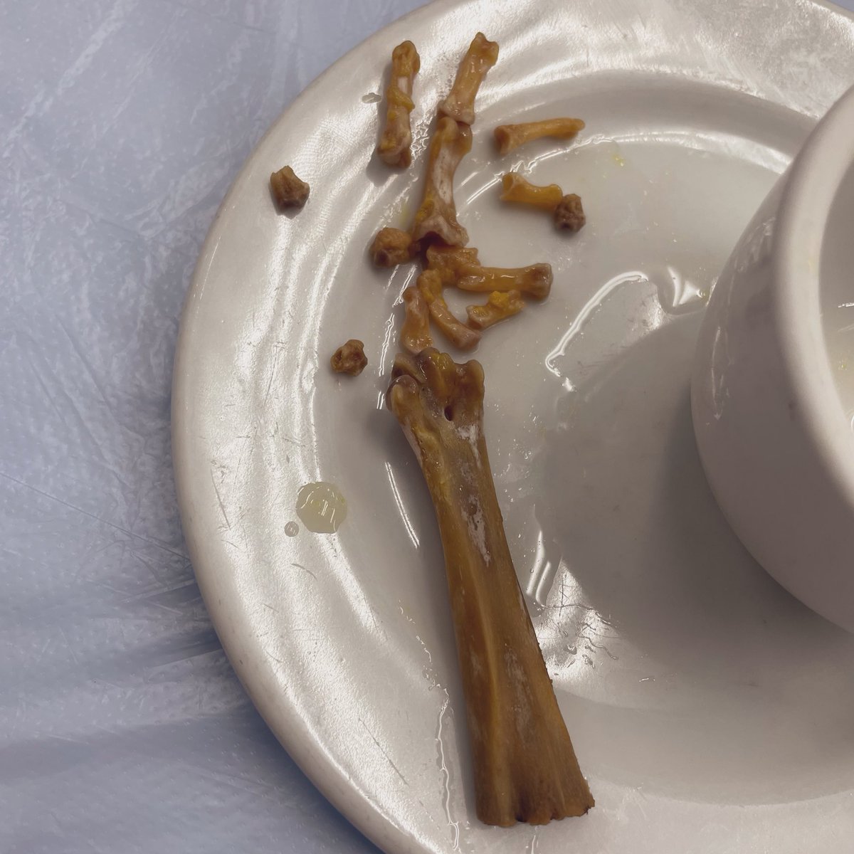 ※人によってはグロいかも 超ローカルなお店で鶏のおてて食べました 骨パズルして遊べるね🐓✋