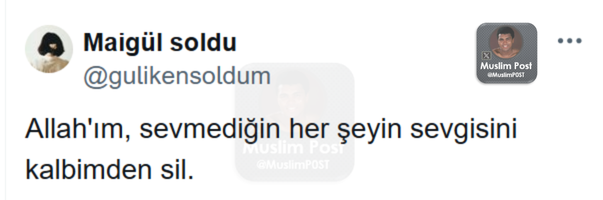 Muslim Post (@muslimp0st) on Twitter photo 