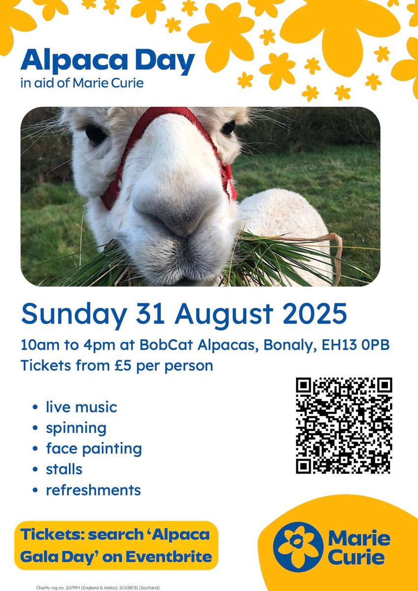 Tony Zimmerman (@lumsden_tony) on Twitter photo Bobcats everywhere ๐ผ Bobcats everywhere ๐ผ