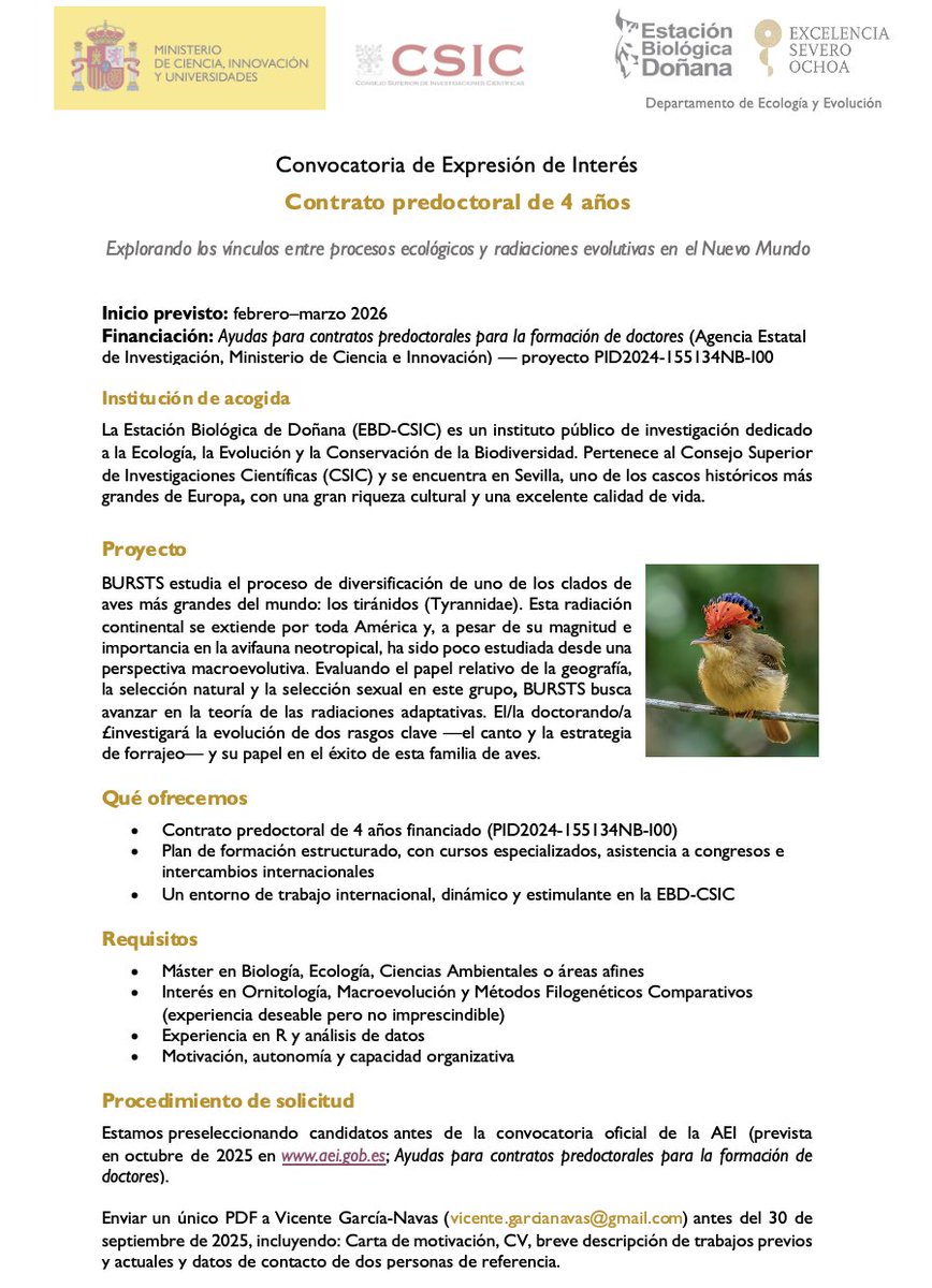 🗣️Se oferta contrato predoctoral para trabajar sobre evolución de rasgos y diversificación en la Estación Biológica de Doñana 🐦🐦‍⬛🦩🦆🦜🦤🦉