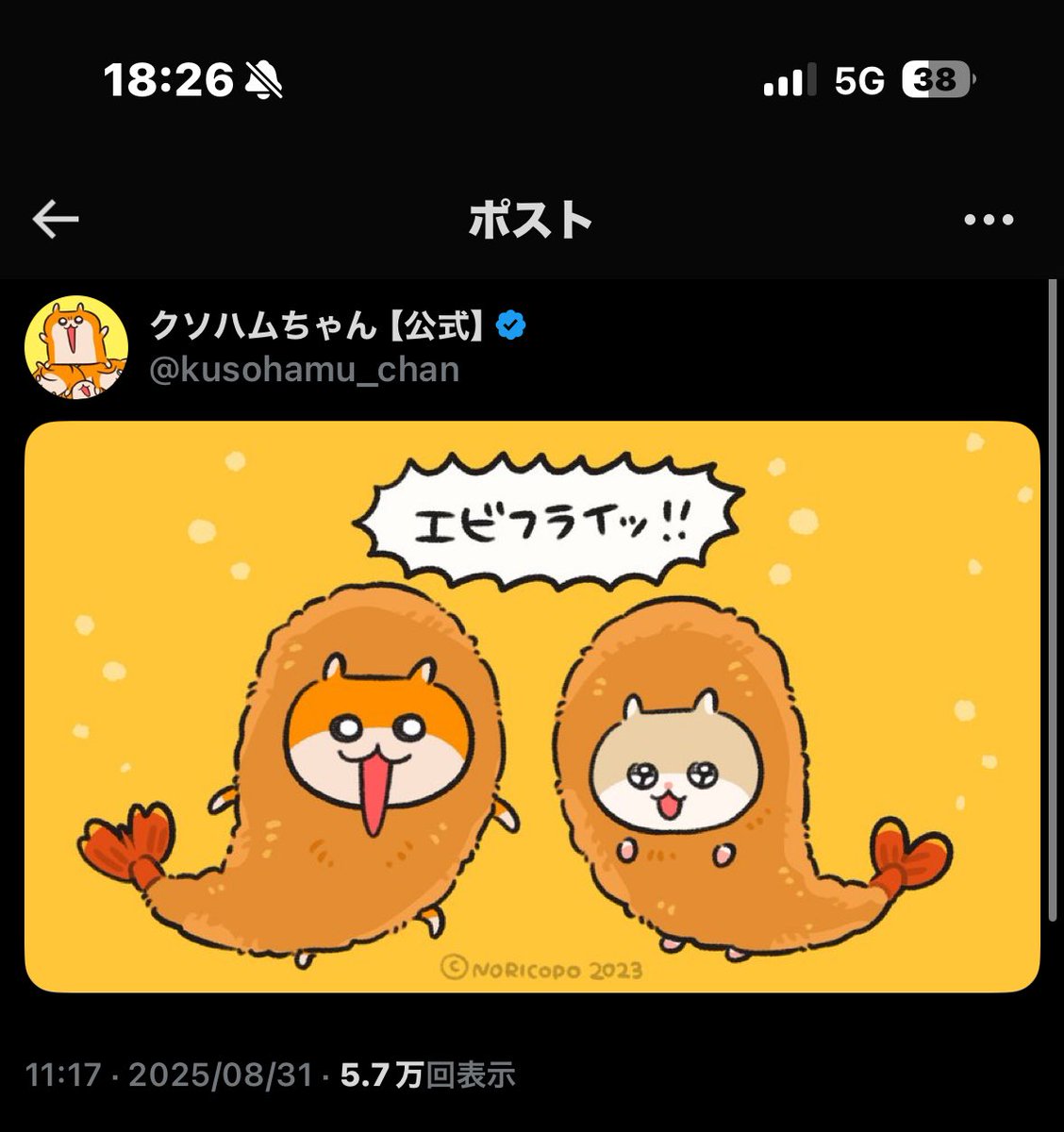 マイメロ様 専用 Mi506 Y2K 日本未発売 star face クロミ マイメロ