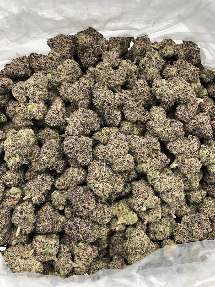 gumbo240's tweet photo. Cherry  RuntZ 🔥 https://t.co/tNh5nBeerC