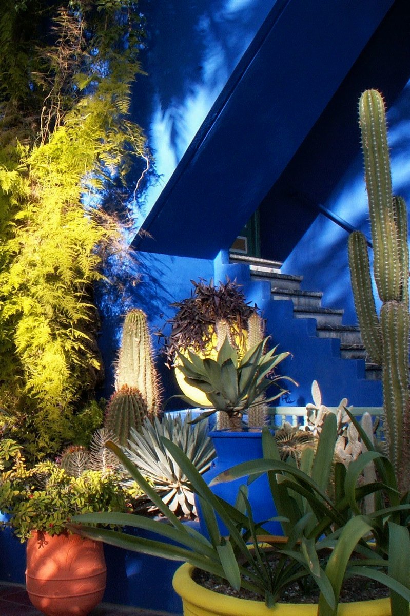 #AlphabetChallenge #WeekIforIconic 
YSL's house, Villa Oasis, painted in his iconic Majorelle blue 
Majorelle Gardens, Marrakech