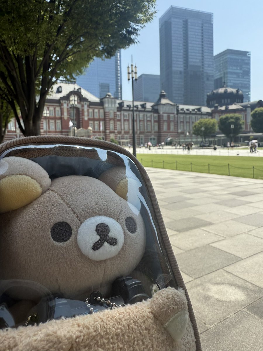 くまおくん tweet media