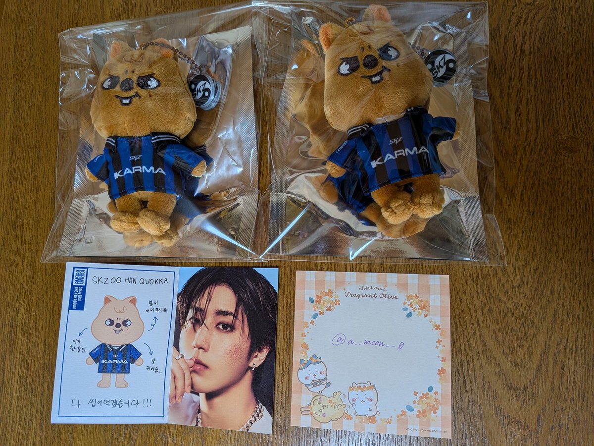 straykids スキズ 交換 KARMA キーリング ぬい プロフィール

【譲】ハンクォッカ、プロフ ハン
【求】ピリ ポガリ、ヒョンジン ジニレット

郵送希望です📮
よろしくお願いします🙇‍♀️