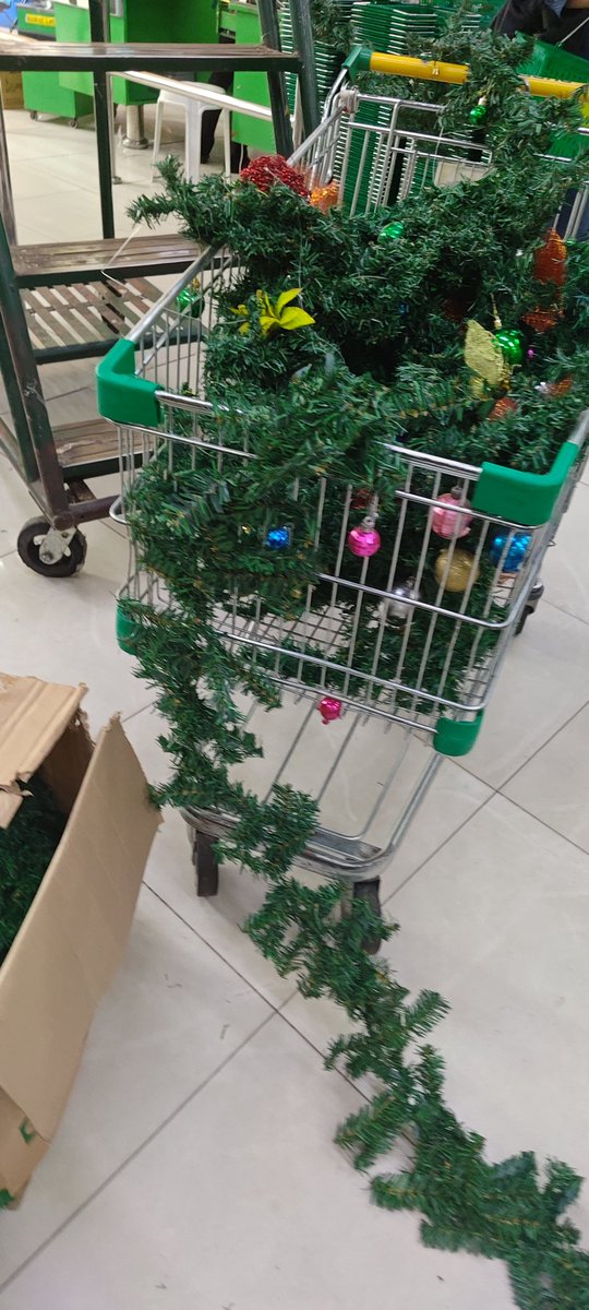 Ber months starting tomorrow I see people putting the Christmas Decorations now.