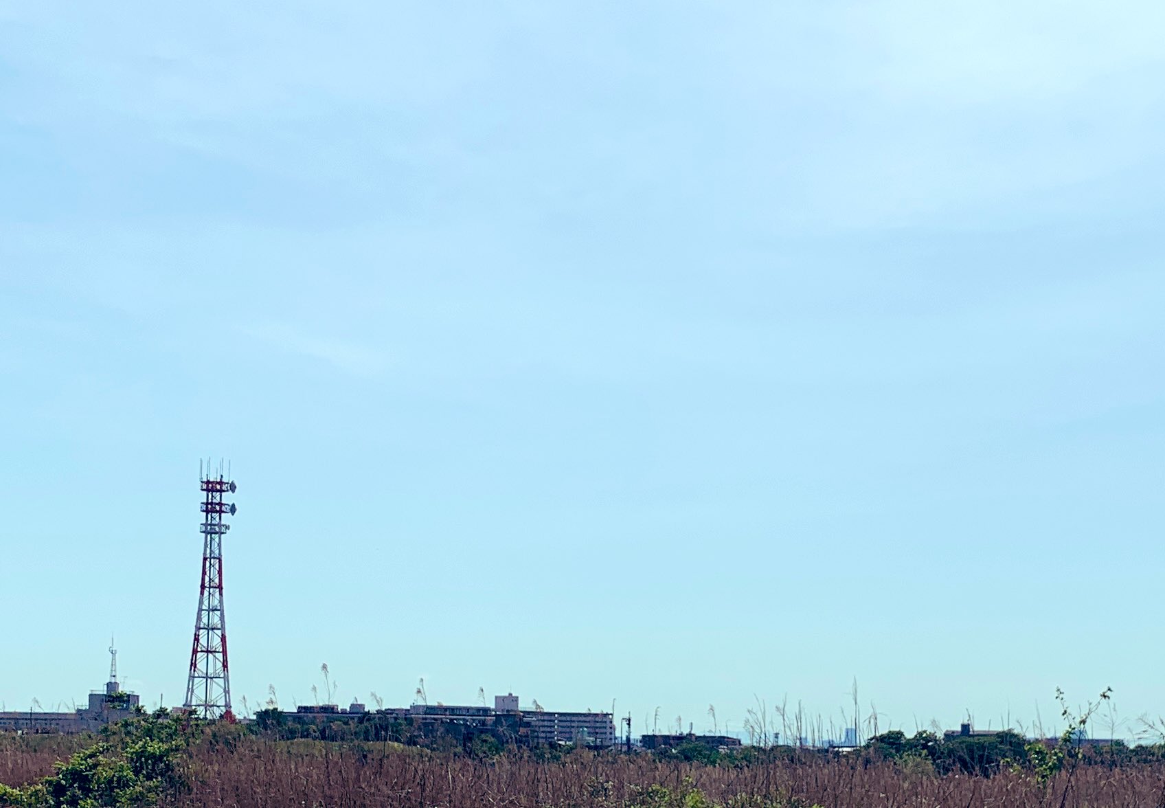 shiho ohashi（猫・風景画家） on X: 