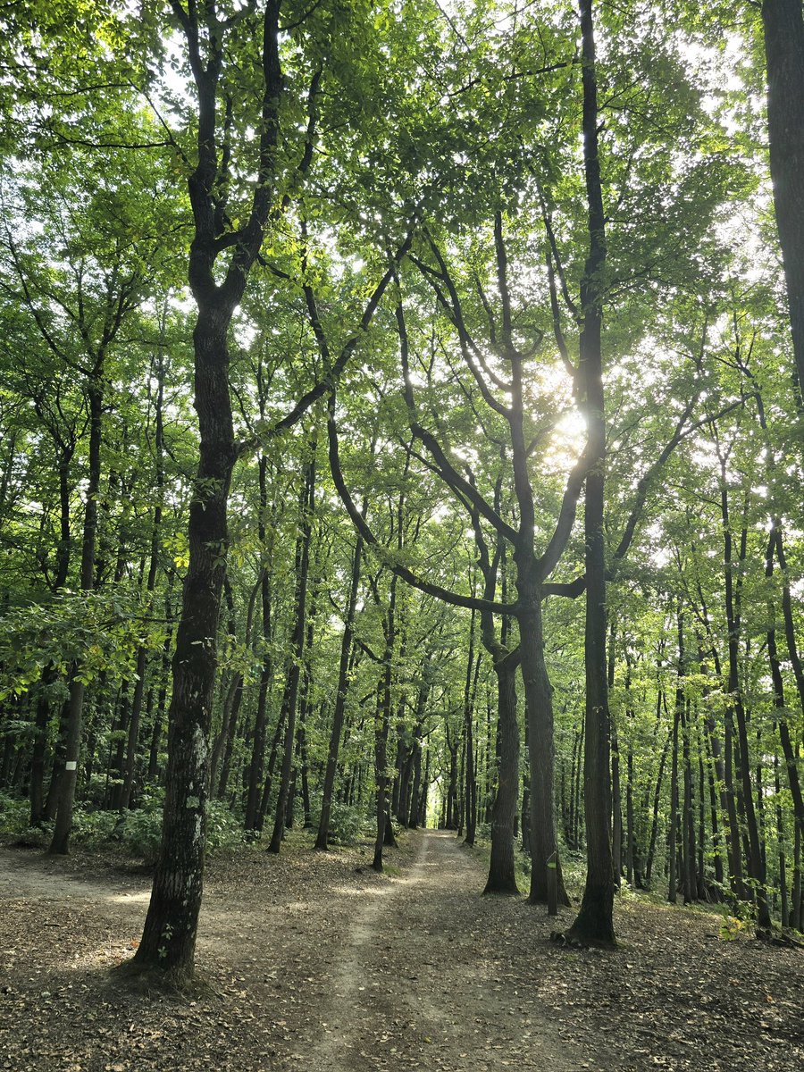 Bonjour, très beau dimanche