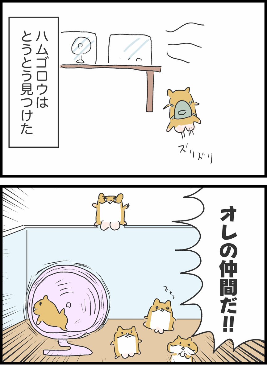 4/11 