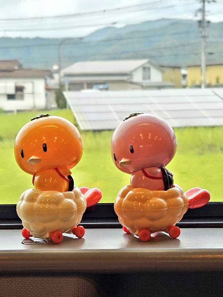 みかんかっぱ【公式】 (@mikankappa) / Posts / X