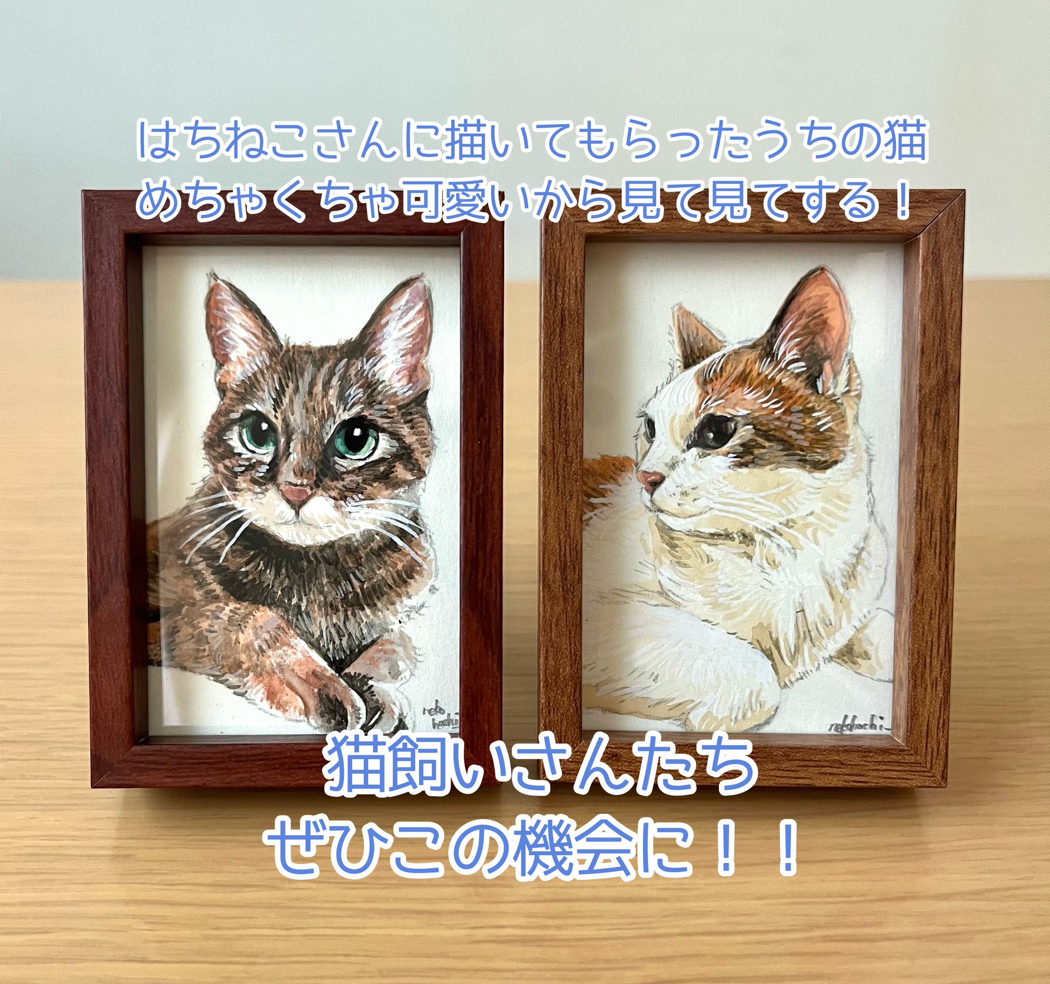 猫 原画 #171 猫の絵 171 水彩画 原画 アメリカンショートヘア - メルカリ