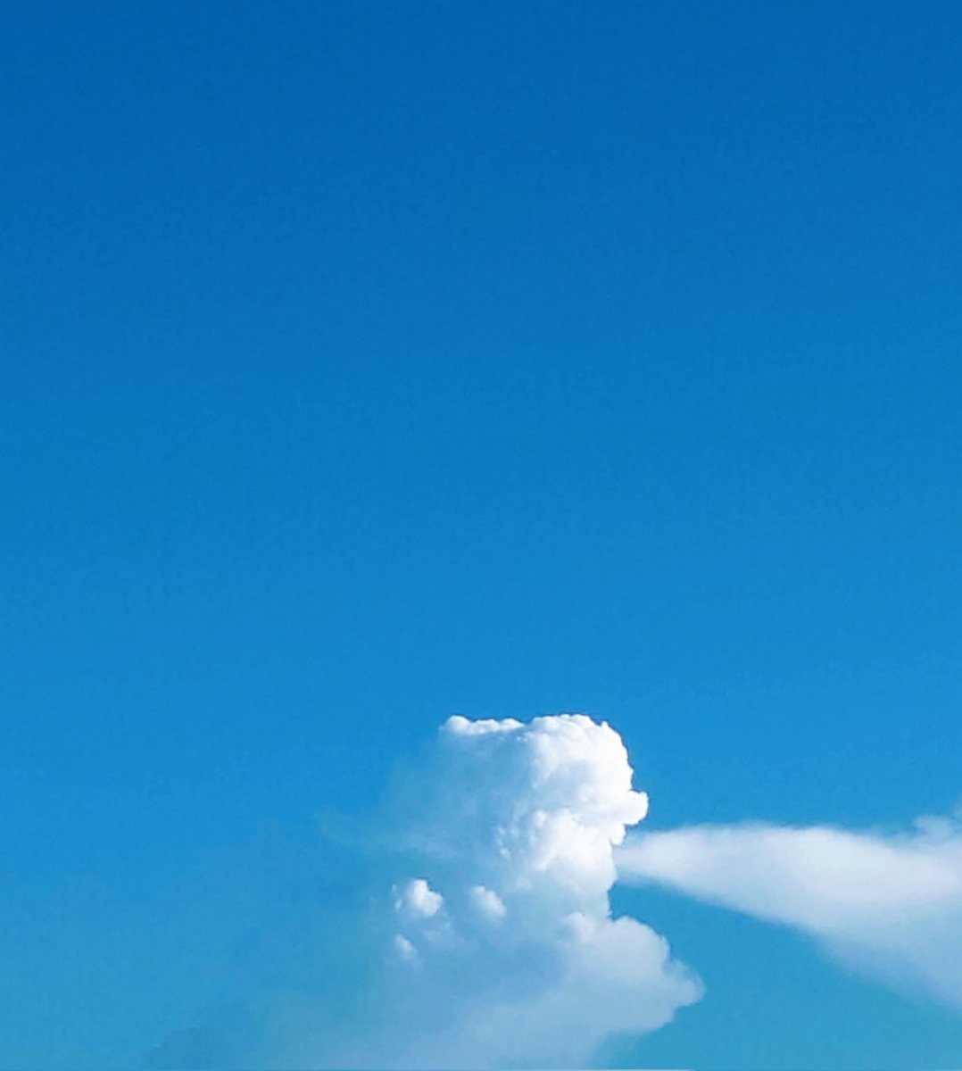 空に絵本のワンシーンみたいな景色☁️