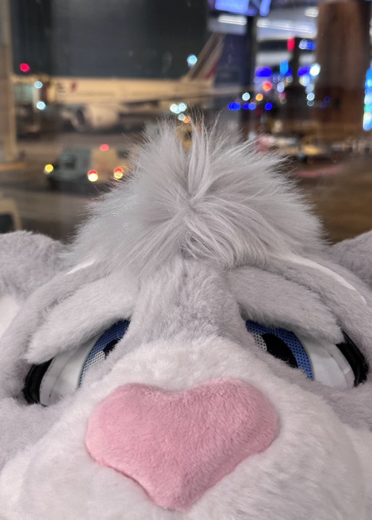 12000km road to Eurofurence ✨