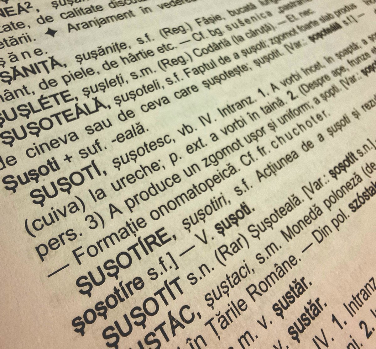 🗣🦻
#ZiuaLimbiiRomâne #31august #SRI