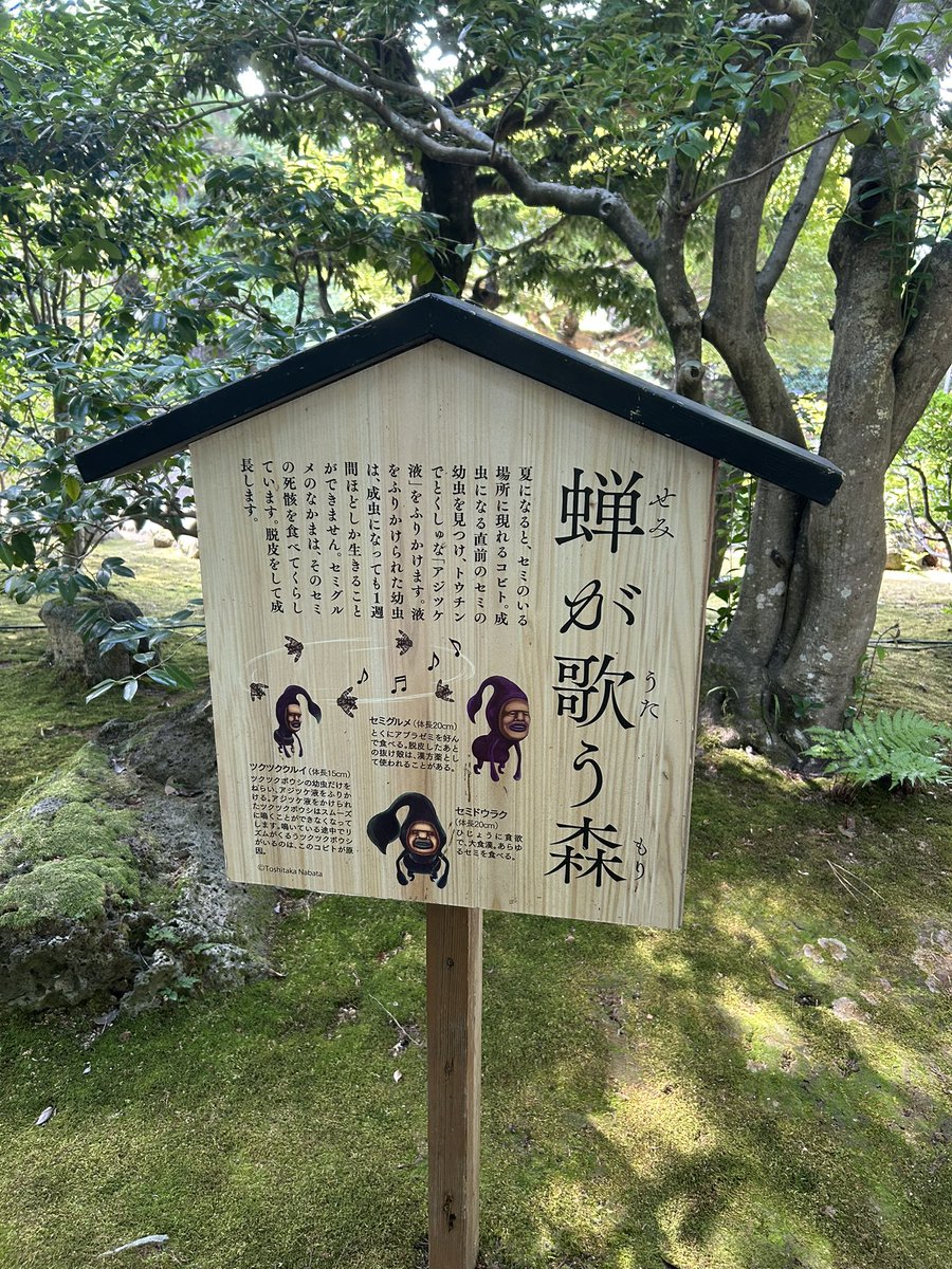 IRO87089129's tweet photo. あちぃ〜💦 https://t.co/bIkNyz6gFI
