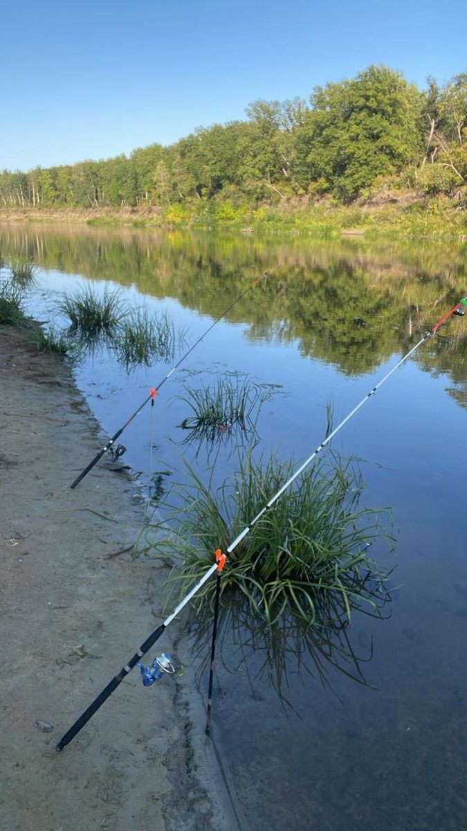 Всем, доброго времени суток с берегов летнего Хопра!