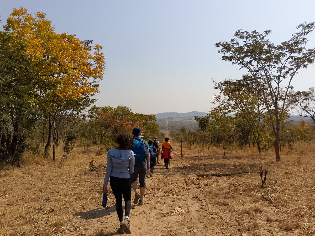 mwilaadventure's tweet image. HUGE THANKS to everyone who joined us for the 15km Mikango View Hike at @Nkwashi_! 🌄🏔️ What an epic adventure it was! 🙌  Hope you all had as much fun as we did! 😊 Until the next adventure...

mwilaadventure.com

#MikangoViewHike #Nkwashi #AdventureCommunity