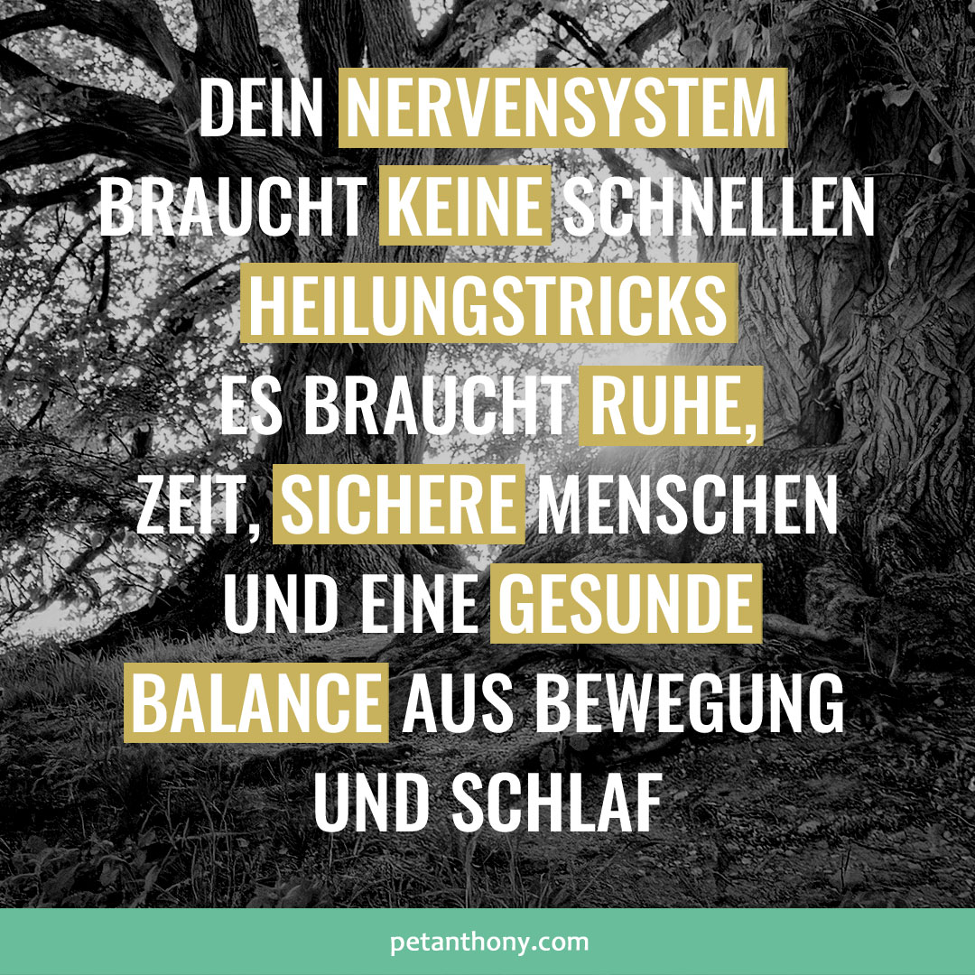 PetAnthonyMind's tweet photo. #traumeheilung #entwicklungstrauma #nervensystem

Wir leben in einer Zeit der Quick-Fixes und Life-Hacks, denn wir haben keine Zeit. Wir ernähren uns von Fertiggerichten und trinken Instant-Kaffee. Wir sind es gewohnt eine Pille einzuwerfen, damit schnell Ruhe ist. Schließlich haben wir ja keine Zeit zu verlieren und bekämpfen lieber Symptome als uns der Ursachen anzunehmen.

Quick Fixes funktionieren vielleicht beim tropfenden Wasserhahn, aber Traumaheilung kann nicht durch schnelle Tricks passieren. Wenn wir als Kind über Jahre unser kumulatives Trauma entwickelt und uns danach vielleicht über Jahrzehnte im Überlebensmodus befunden haben, dann ist die schnelle Vagusnerv-Stimulation zwischendurch der sprichwörtliche Tropfen auf dem heißen Stein.

Sei Dir bitte bewusst, dass Du Dich nicht nur zuerst um Deinen Körper kümmern musst, um wieder in Balance und vor Allem in den Parasympathikus kommen zu können, sondern dass Du innehalten und Dein Leben grundlegend verändern musst. Erst dann kann Dein Nervensystem heilen. Und das braucht Zeit, Ruhe, sichere Menschen um Dich herum und eine gesunde Balance aus Bewegung und Schlaf.

Wie Entwicklungstrauma entsteht, durch welche Symptome es sich zeigt und welchen Weg der Heilung Du gehen kannst, das beschreibe ich in meinem Buch, welches Du jetzt schon vorbestellen und dabei auch gewinnen kannst: https://t.co/mCmnmrpdPZ

Alles Liebe und einen entspannten Sonntag wünscht Dir

Pet

Veränderung ist immer möglich: https://t.co/yrKvAdUxQD