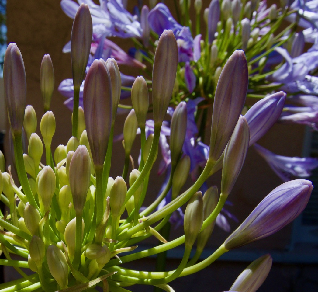 Chester L. Richards

COLOR CONTRAST

#photographyeveryday #photographyart #landscapelovers #landscapephotography

Photo copyright © 2024 Chester L. Richards – All rights reserved