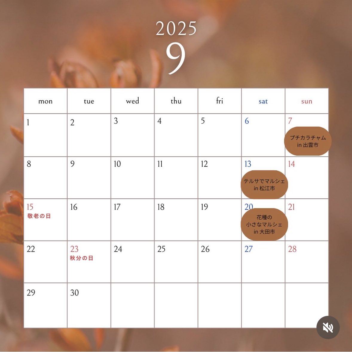 9月の予定です🌕