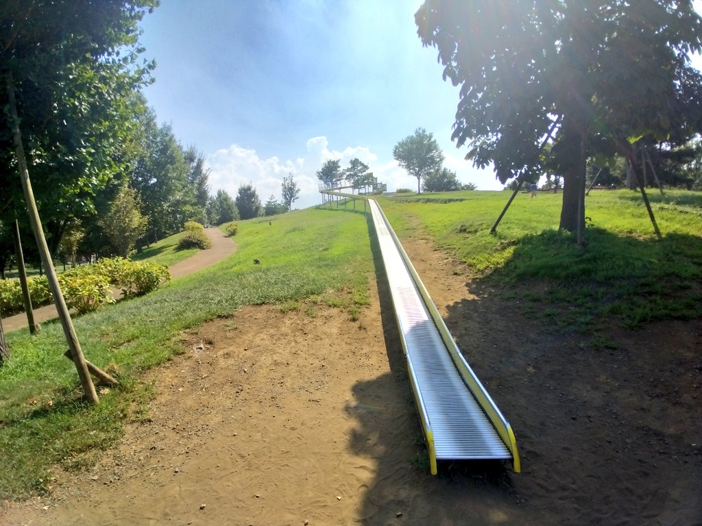 東伏見周辺の公園を散策
今日も暑いですね

#武蔵関公園
#下野谷遺跡公園
#東伏見稲荷神社
#東伏見公園