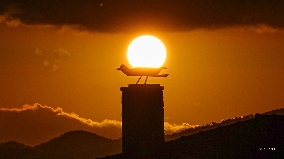 Sortida Sol avui desde #ascó 

 <a href="/meteo_garraf/">Gori Masip</a> @MeteoMauri <a href="/gemmapuigf/">Gemma Puig Feliu</a> <a href="/SoniaPapell/">Sònia Papell Caimons</a> <a href="/SergiLoras/">Sergi Loras Gironès</a> #tufotonatgeo <a href="/jjanue/">Jofre Janué @jjanue.bsky.social</a> <a href="/alcantara_alb/">Alberto Alcántara</a>  <a href="/eloicordomi/">Eloi Cordomí Montoya</a>  <a href="/NatGeoEsp/">National Geographic España</a> <a href="/NatGeoPhotos/">Nat Geo Photography</a> @eltempsTV3 #eltemps3cat <a href="/nestor_meteo/">Néstor Gómez</a> <a href="/XFreixes/">Xavi Freixes</a> <a href="/som3cat/">3Cat</a> <a href="/elnacionalcat/">ElNacional.cat</a>