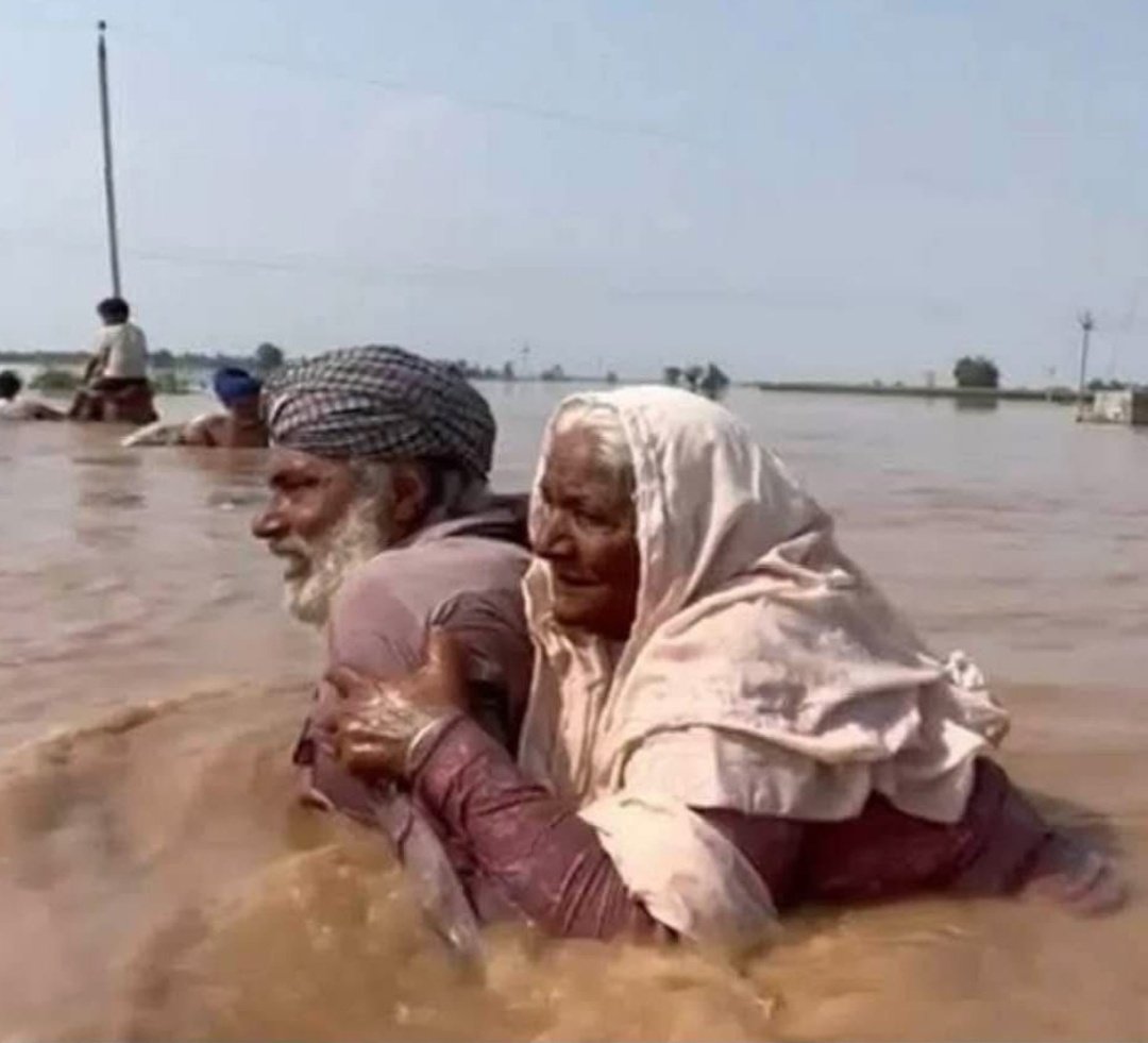 PropagandaRaid's tweet photo. #Punjab इस आपदा की घड़ी में पूरी तरह से बेसहारा छोड़ दिया गया है। 😡😡

ना राज्य सरकार दिख रही है, ना केंद्र सरकार, और गोदी मीडिया ने तो जैसे अपनी ज़ुबान ही गिरवी रख दी हो।

क्योंकि ना तो पंजाब में चुनाव हैं, और ना ही बलात्कारी पार्टी की सरकार है 

#PunjabFloods #PunjabFloodAlert #punjabflood2025