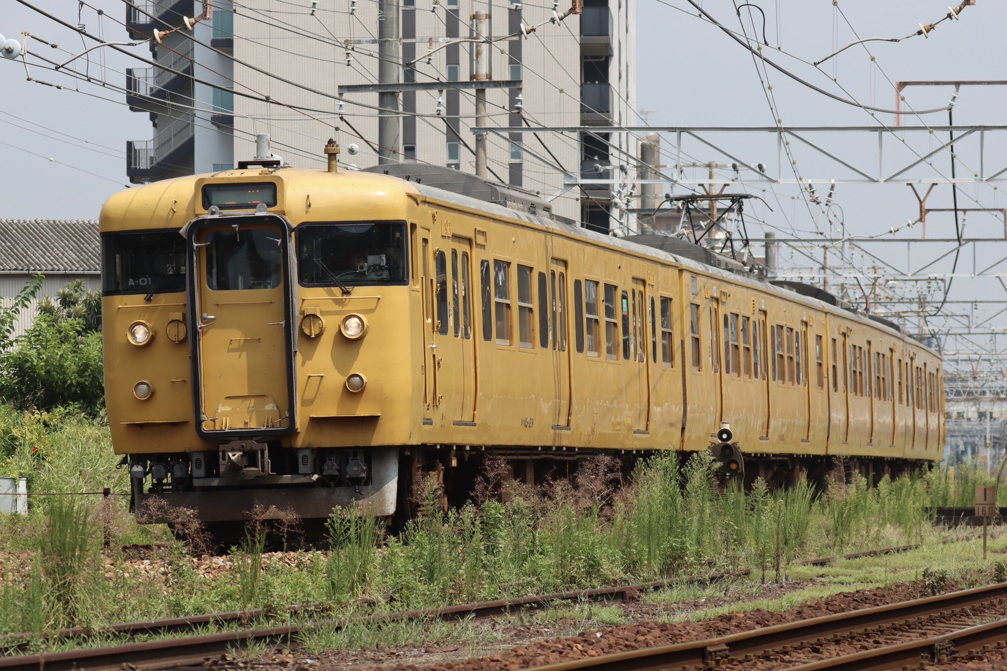 maruさん専用 MARUさんへ